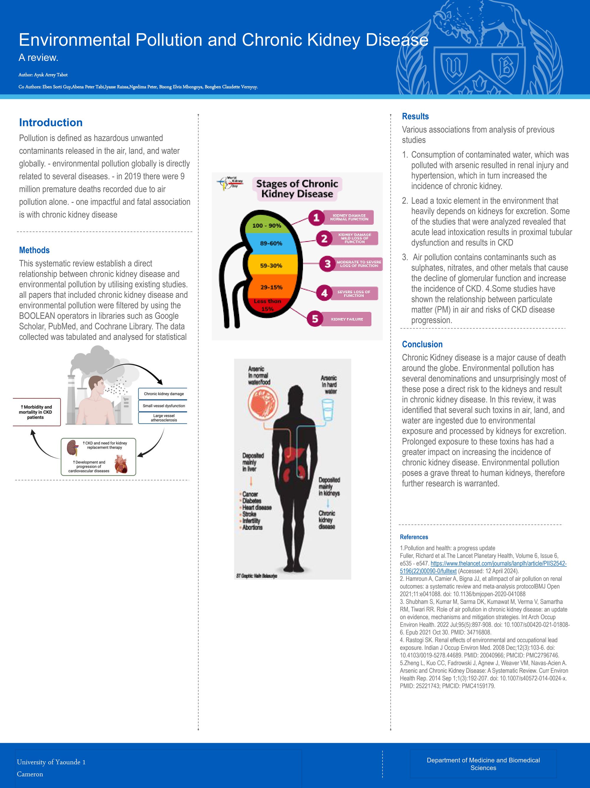 Environmental Pollution and Chronic Kidney Disease : A Review